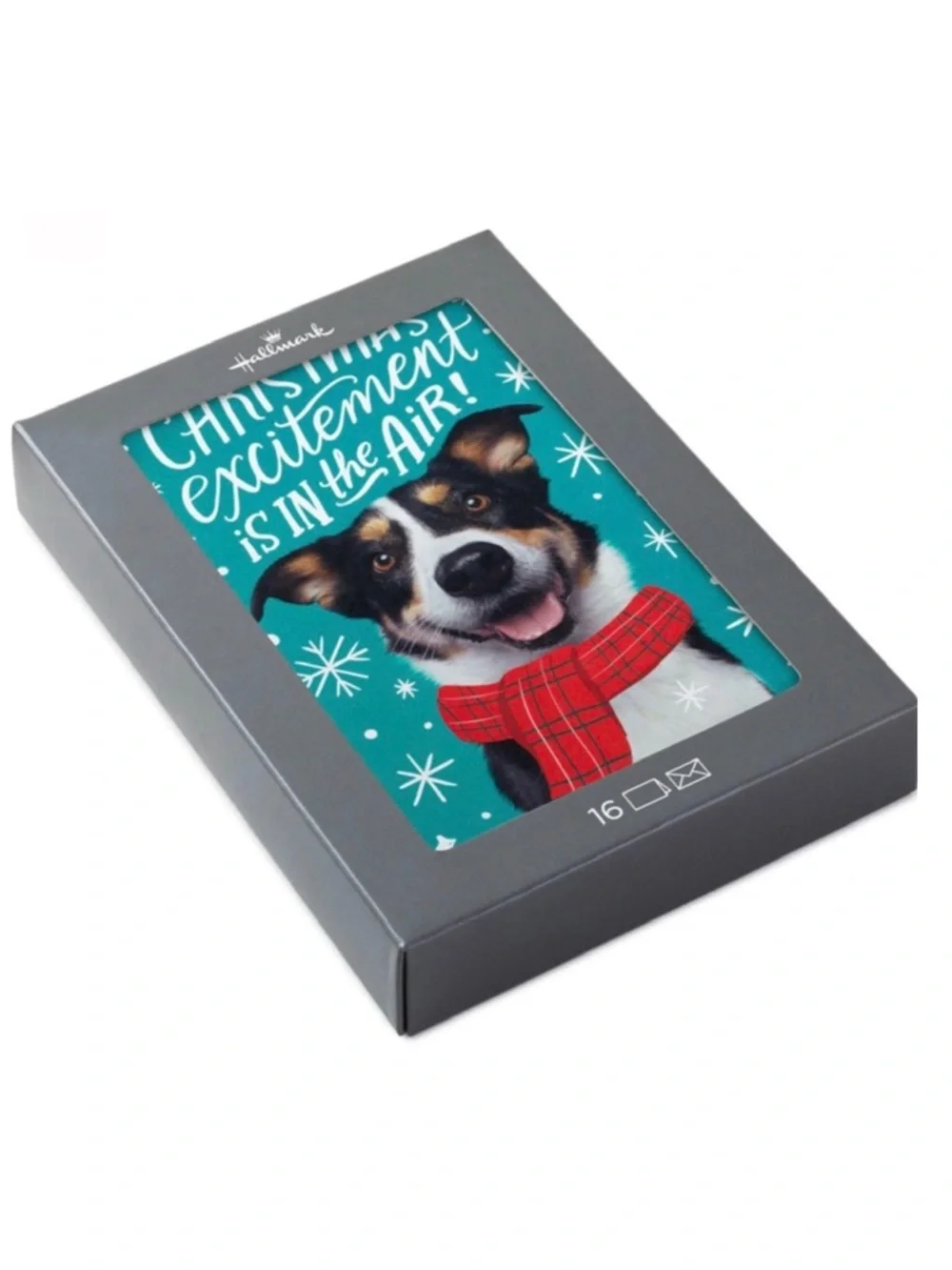 Hallmark “Christmas Excitement is in the Air!” Boxed Christmas Cards, Pack of 16